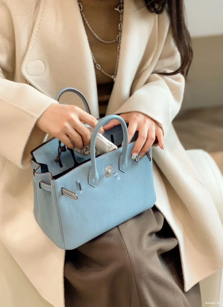 Birkin Bags Hermes Popular 48980 0702